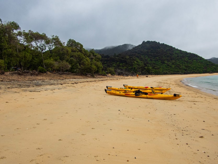 kayaks on Onetahuti Bay in Tonga Island Marine Reserve