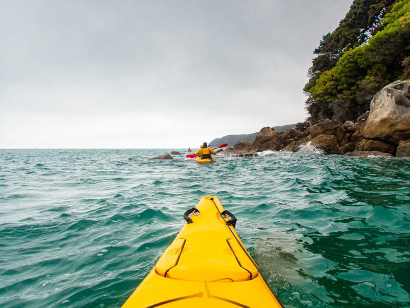 kayaking along the coast of abel tasman national park through the tonga island marine reserve