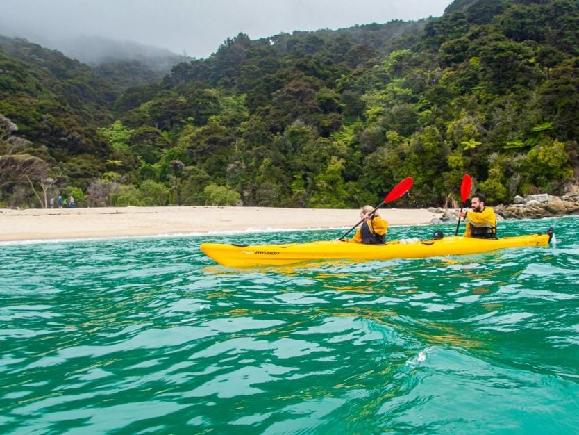 couple kayaking along the sandy shoreline of mosquito bay in abel tasman national park