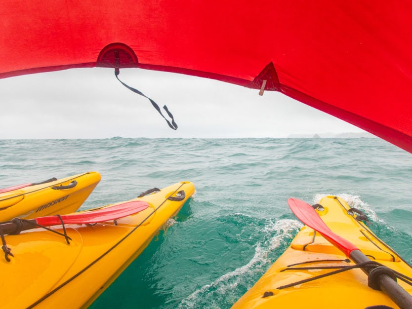 kayak sailing during our abel tasman kayak tour