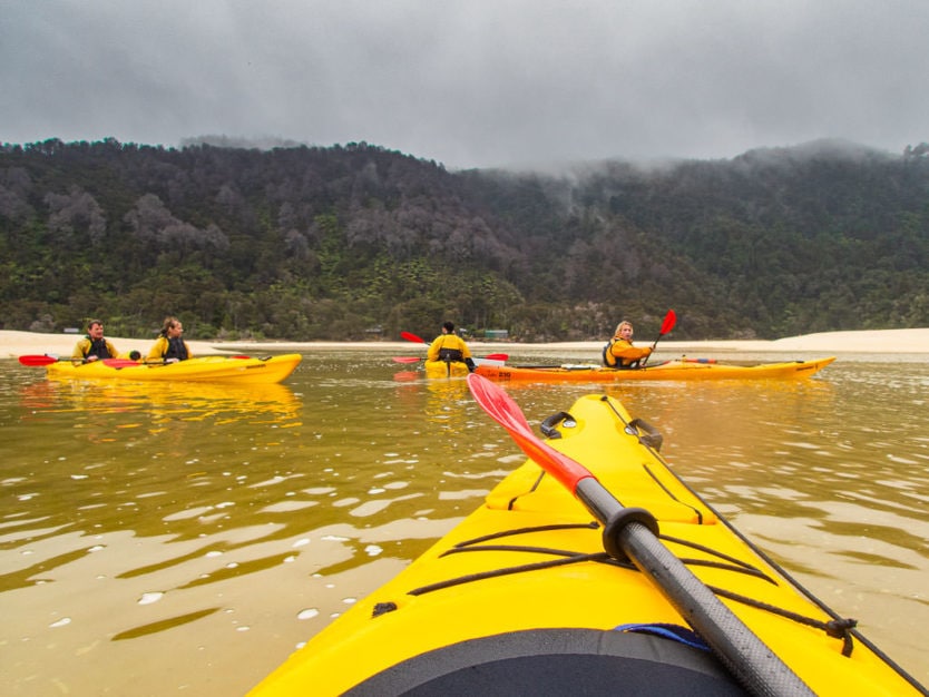 group kayaking around the shallows of bark bay in abel tasman national park