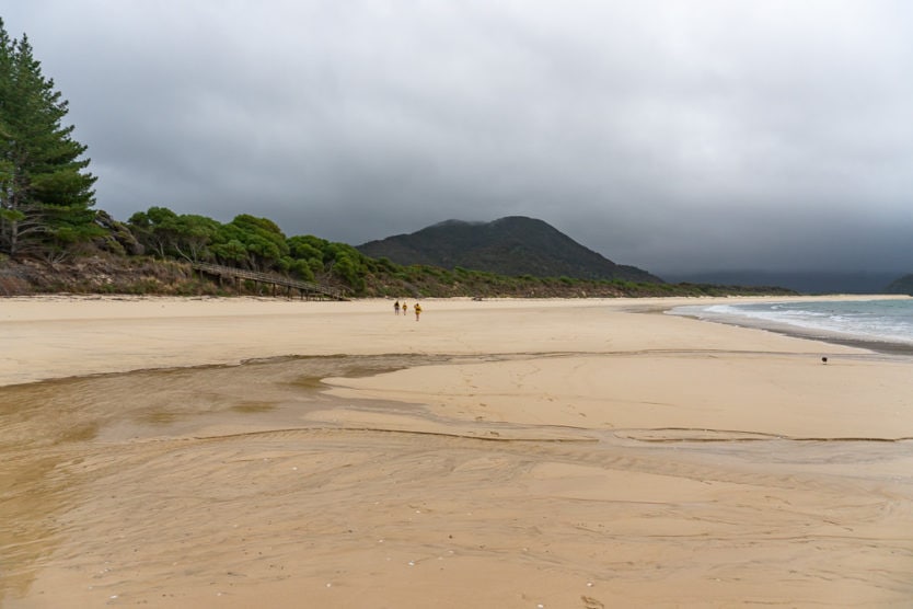 empty Awaroa Beach on a gloomy day in abel tasman national park