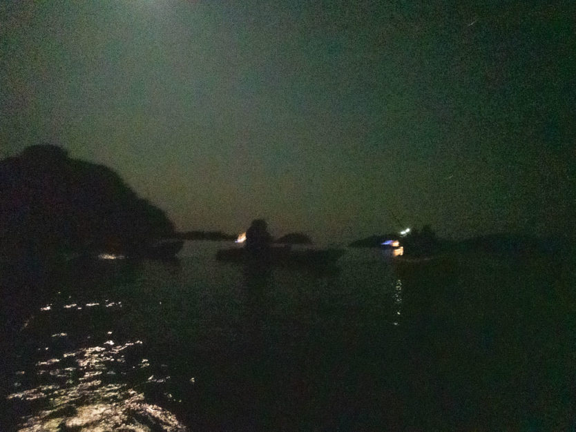 night kayaking in bay of islands on the rock overnight cruise boat 