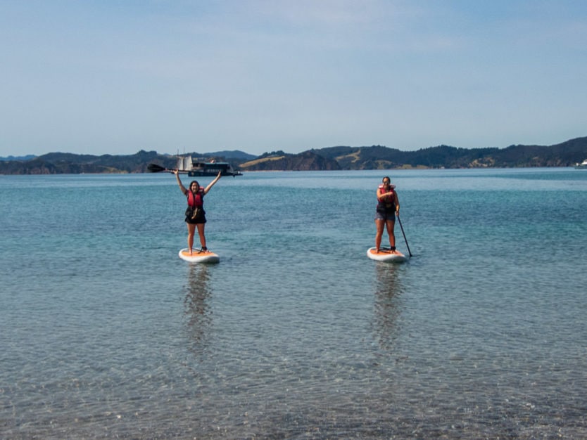 sup boarding bay of islands explorations on rock the boat