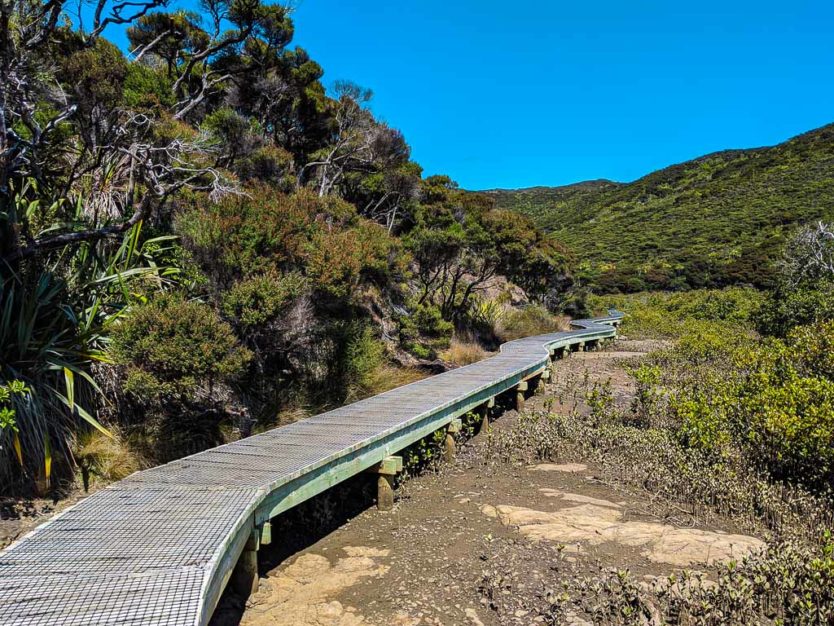 trail near Tapotupotu Beach near cape reinga northland new zealand