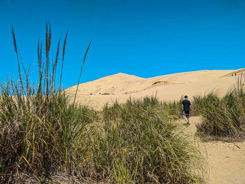 te paki sand dunes northland new zealand