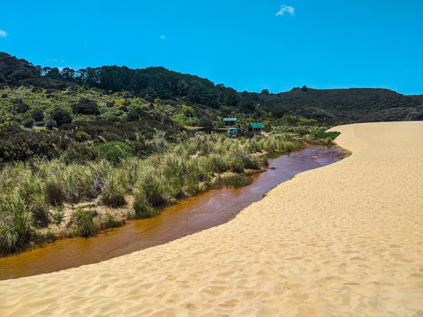 te paki sand dunes northland new zealand