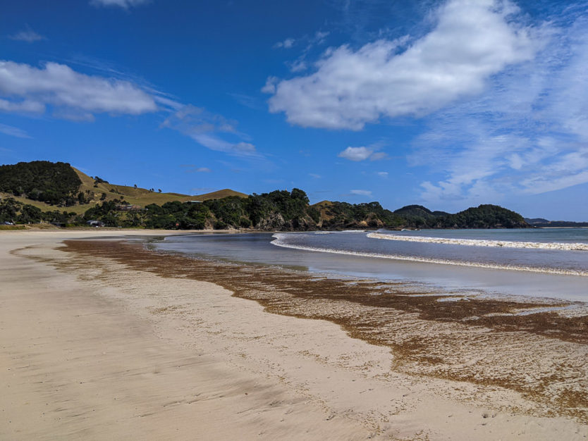 northland beach new zealand road trip