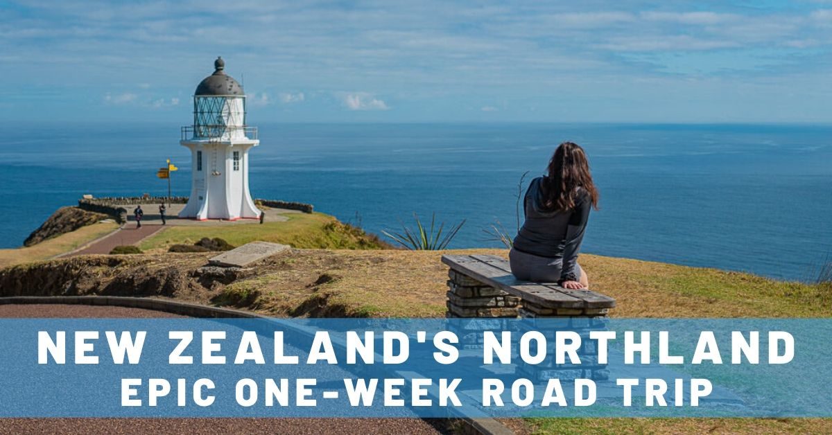 Northland New Zealand Road Trip: One Week of Beaches, Backpackers & Beautiful Views!