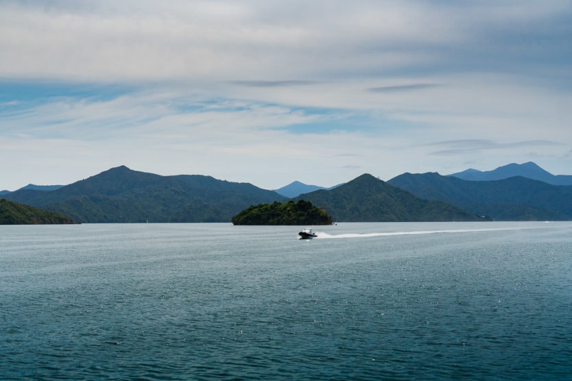 boat passing an island in queen charlotte sound mail boat cruise in picton new zealand