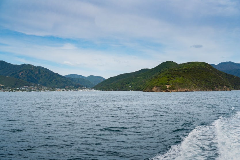 waikawa in the distance on the queen charlotte sound mail boat cruise