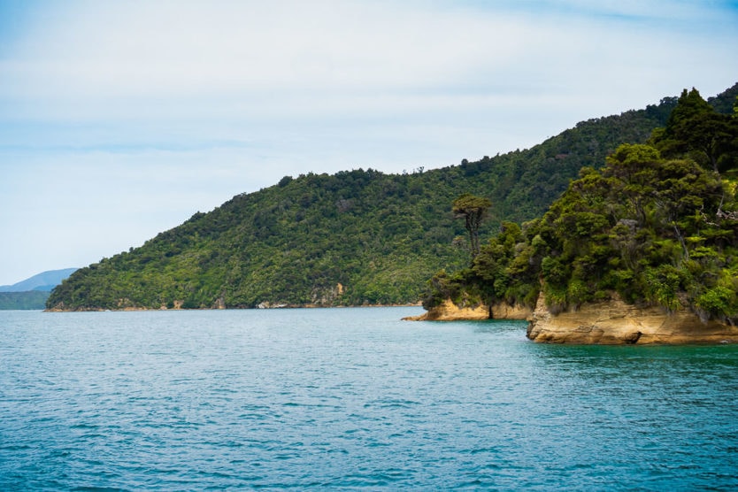 queen charlotte sound mail boat cruise top thing to do in picton new zealand