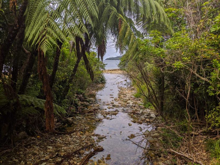 stream running to the sea in ship cove