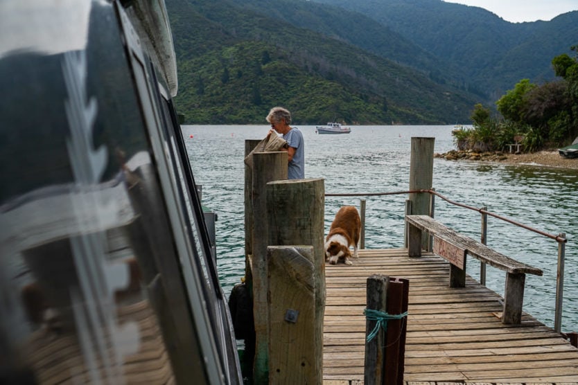dog on dock with treat from the beachcomber mail boat cruise and owner receiving her mail