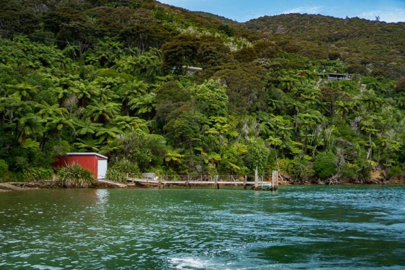 queen charlotte sound mail boat cruise top thing to do in picton new zealand