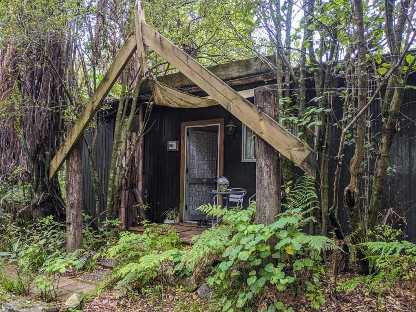 outside of our sustainably built jungle hut style accommodations near rotorua at Mount Tutu Eco-Sanctuary