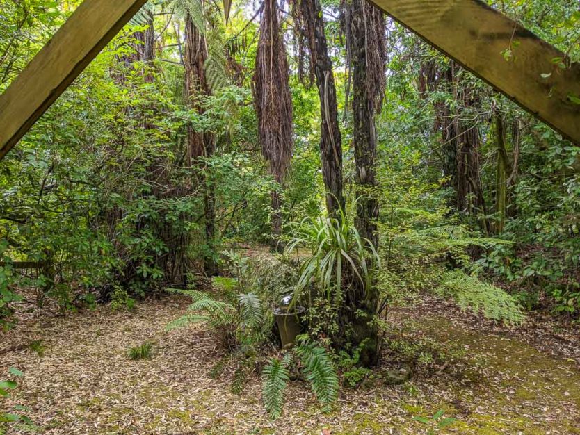 looking out towards the sanctuary from the porch of our sustainably built jungle hut style accommodations near rotorua at Mount Tutu Eco-Sanctuary