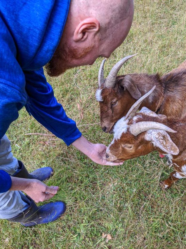 hand feeding the goats at mount tutu eco-sanctuary