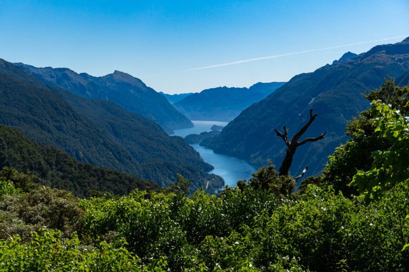 doubtful sound overnight cruise fiordlands