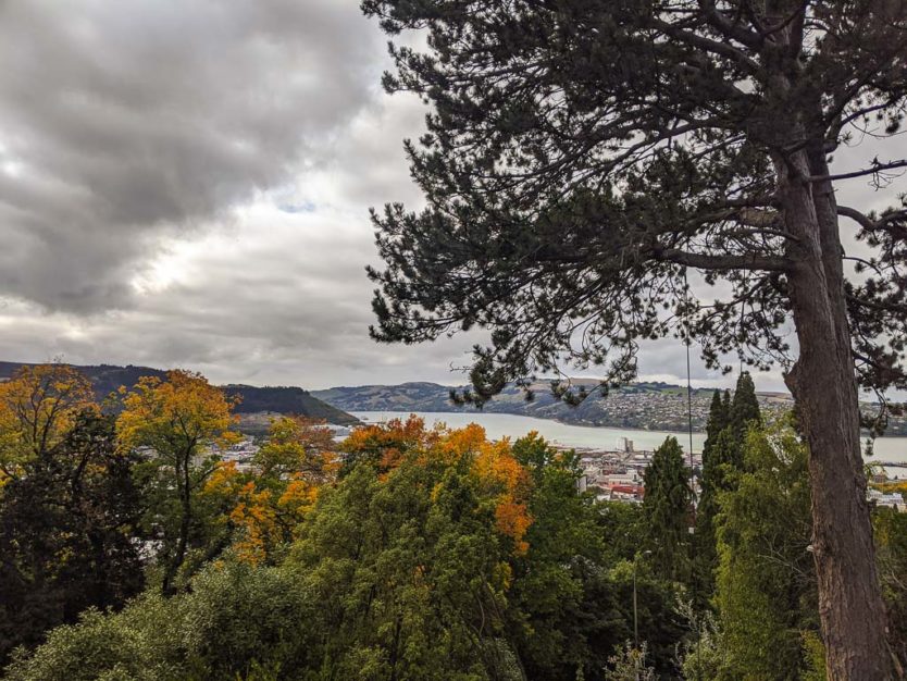 dunedin walking trails in autumn