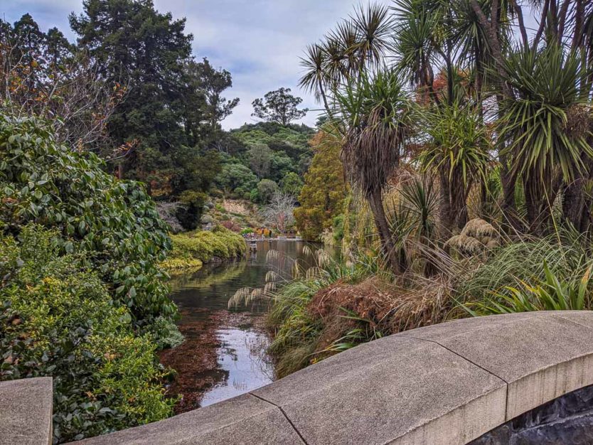 dunedin botanic gardens