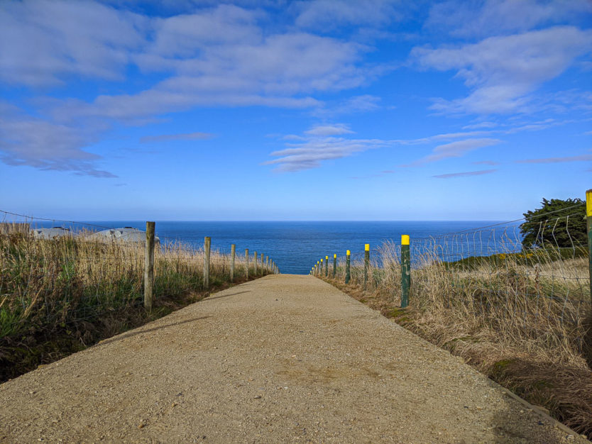 tunnel beach near dunedin nz