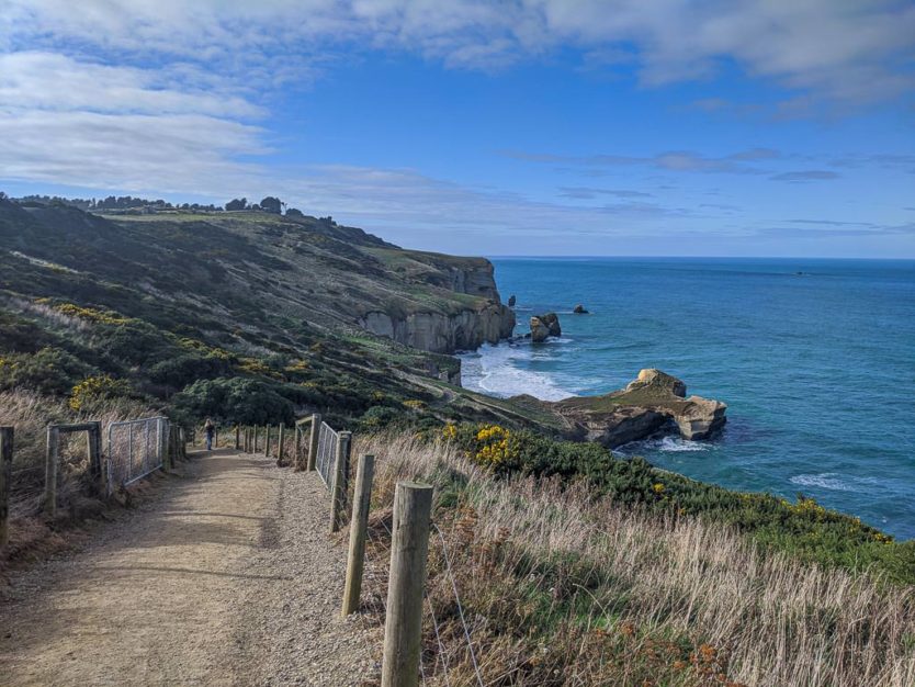 tunnel beach near dunedin nz