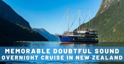 Memorable Doubtful Sound Overnight Cruise in New Zealand