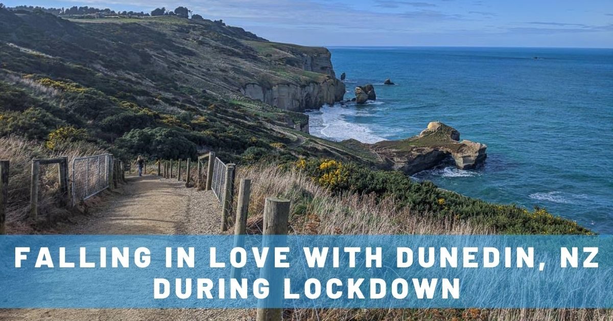Falling in Love with Dunedin, NZ, During Lockdown