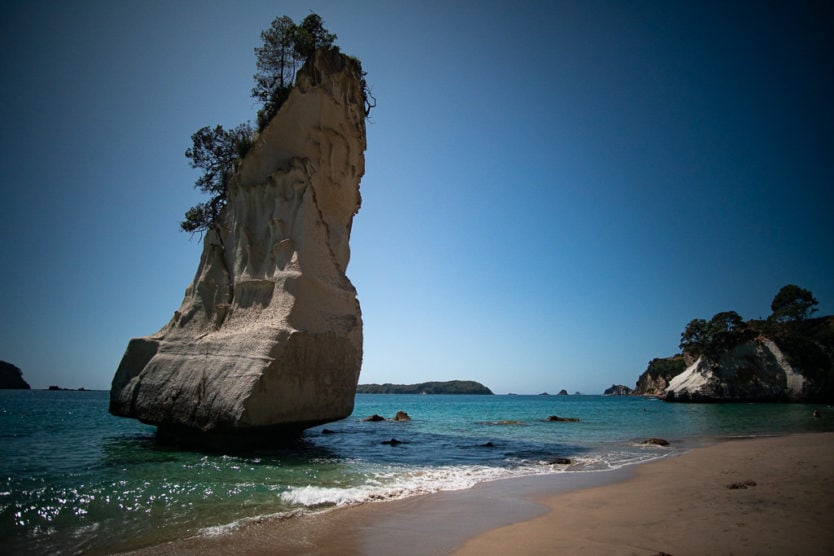 cathedral cove walk in the coromandel nz