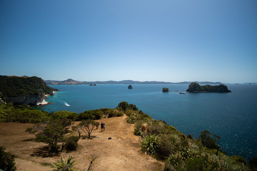 cathedral cove walk in the coromandel nz