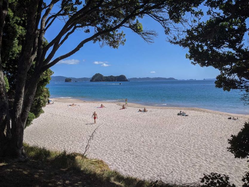 cathedral cove walk in the coromandel nz