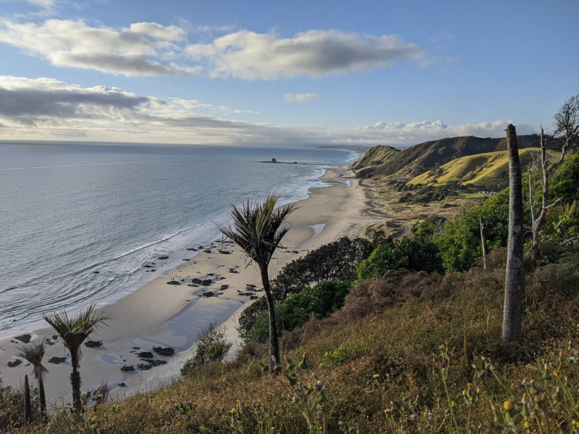 mangawhai heads cliff walk new zealand