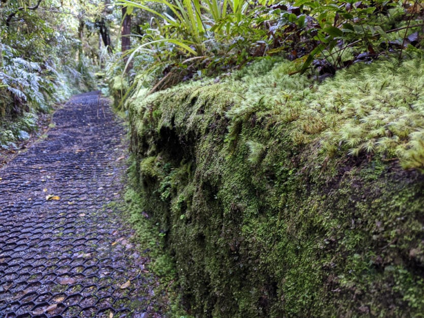 mt taranaki wilkies pools hike new plymouth nz