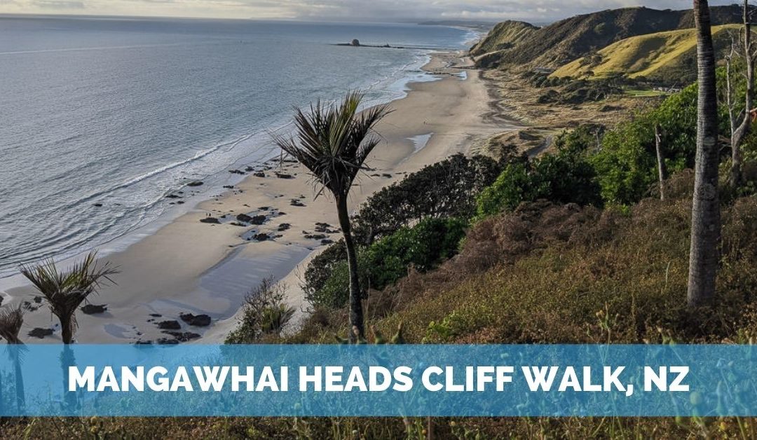 Mangawhai Heads Cliff Walk – A Favorite NZ Hike