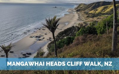 Mangawhai Heads Cliff Walk – A Favorite NZ Hike