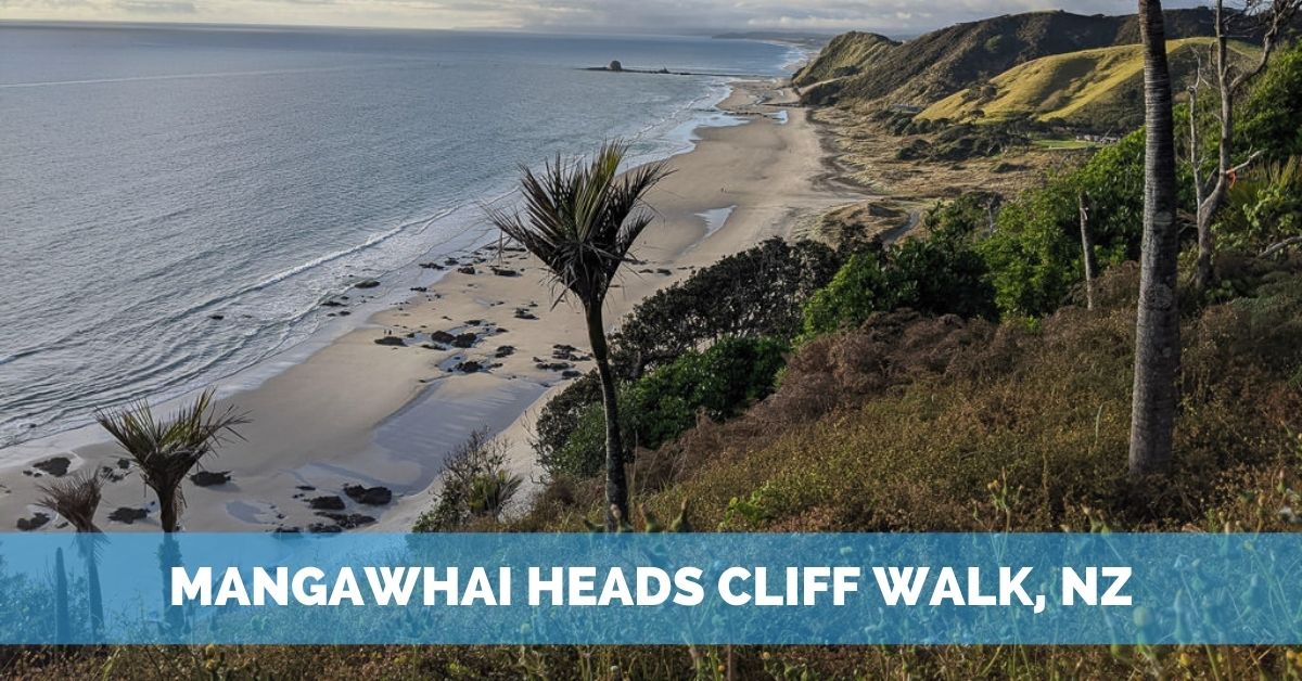 Mangawhai Heads Cliff Walk – A Favorite NZ Hike