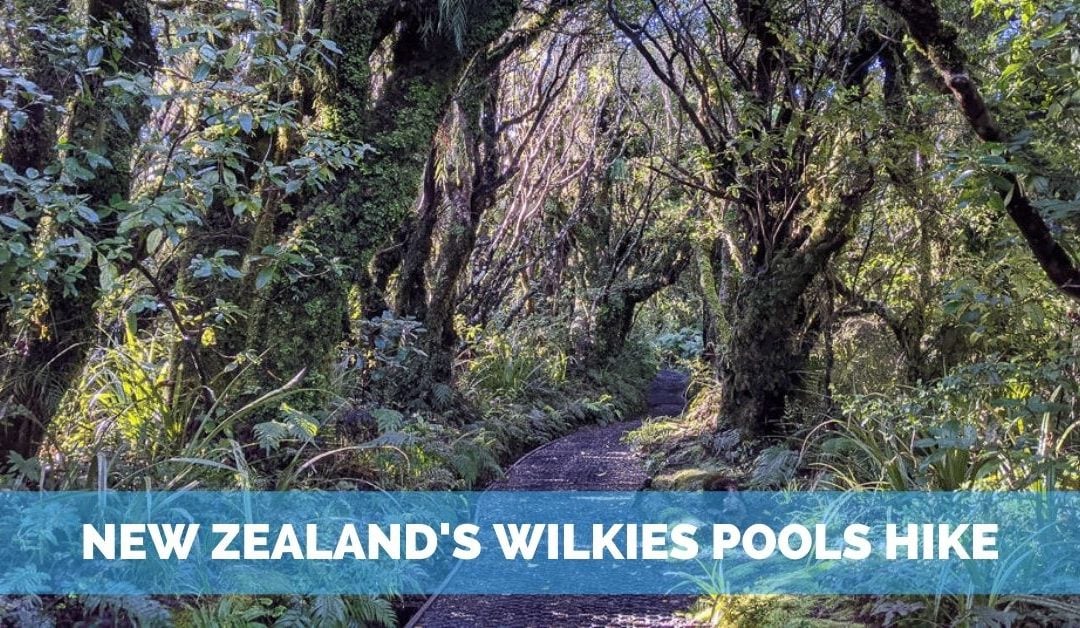 Mount Taranaki’s Wilkies Pools Hike – A Lush Adventure!