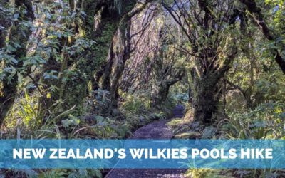 Mount Taranaki's Wilkies Pools Hike – A Lush Adventure!