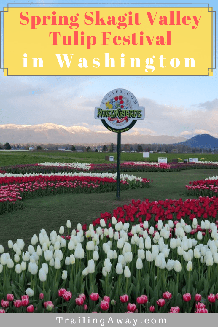 One AMAZING Day at the Skagit Valley Tulip Festival in Washington State