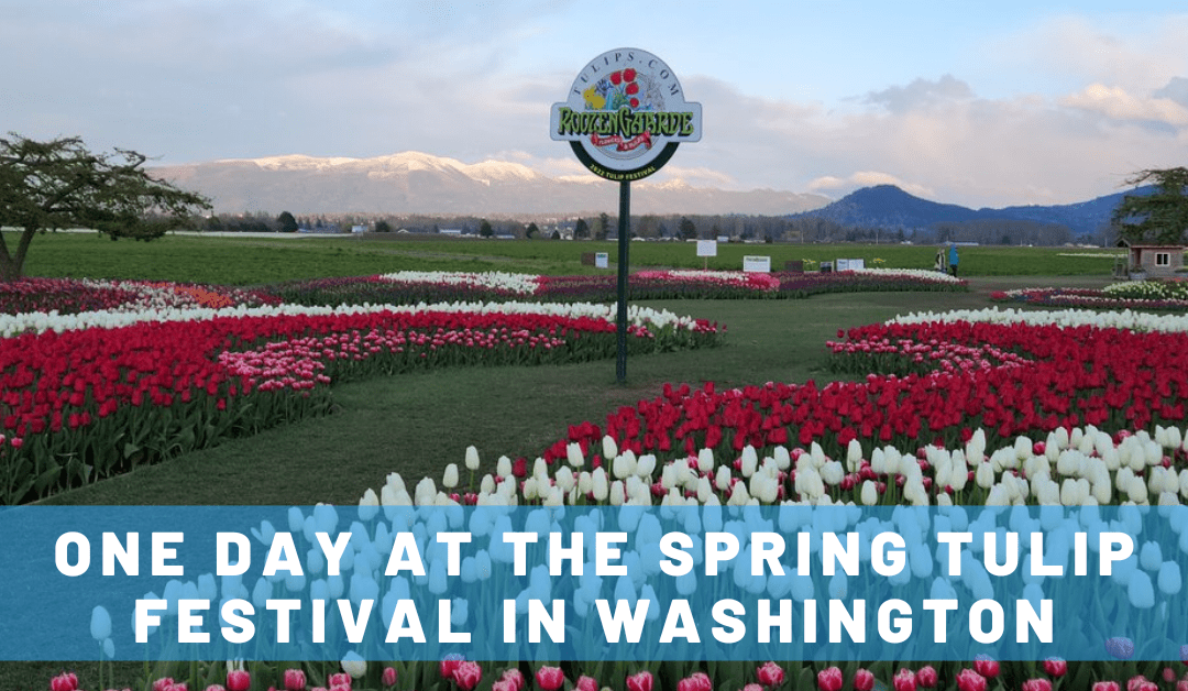 One AMAZING Day at the Skagit Valley Tulip Festival in Washington State