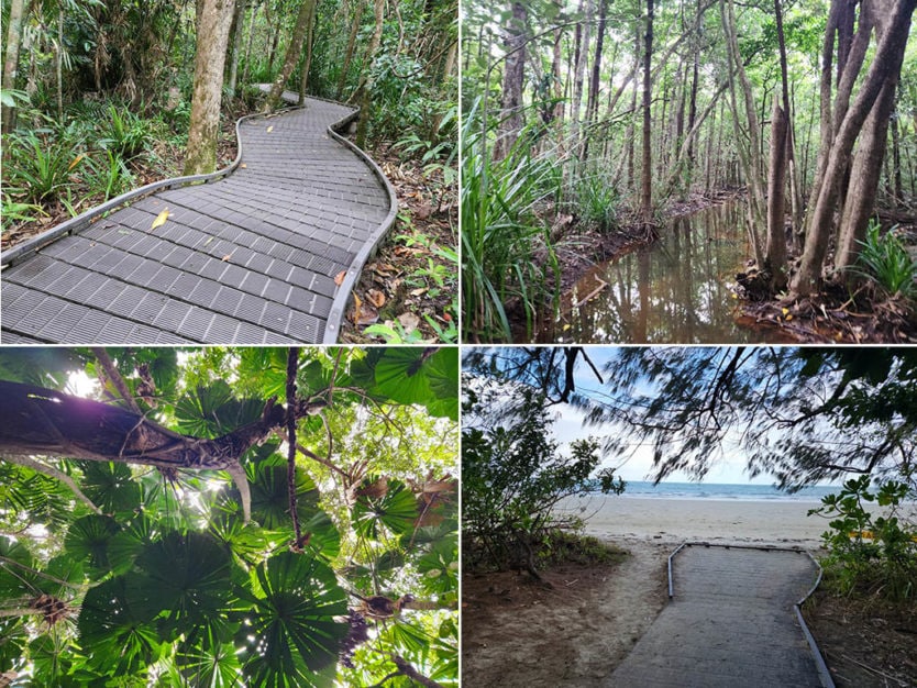 daintree rainforest dubuji boardwalk to Myall Beach