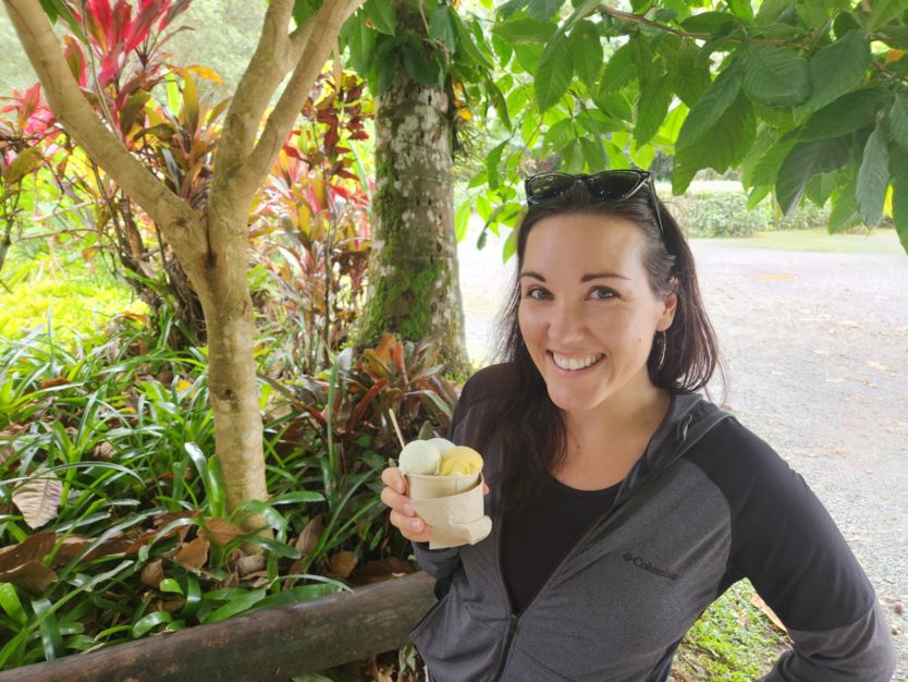 daintree ice cream company