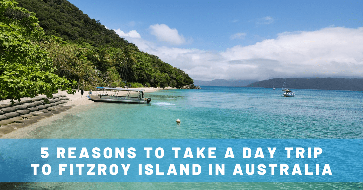 5 Reasons to Take a Day Trip to Fitzroy Island from Cairns, Australia