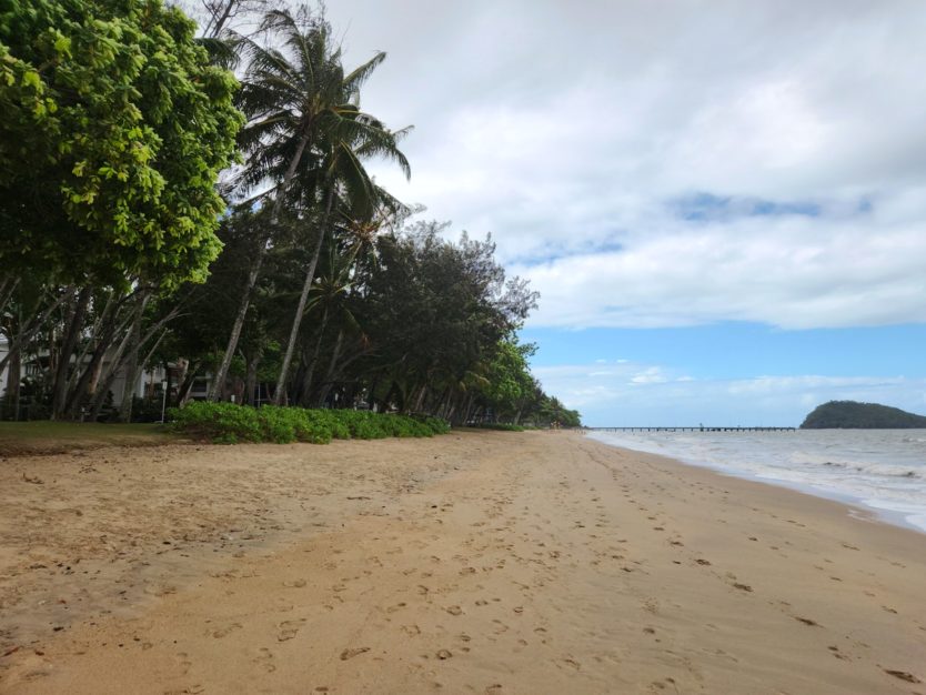 palm cove beach views