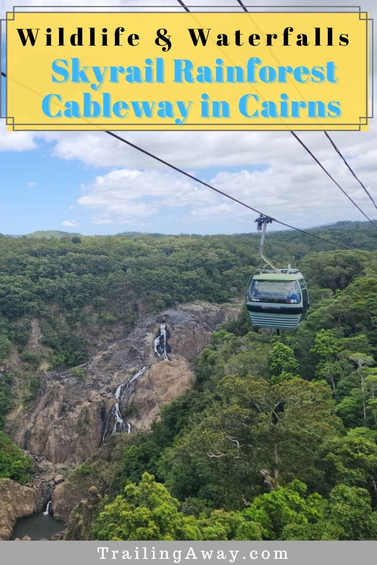 Wildlife & Waterfall Viewing on the Skyrail Rainforest Cableway in Cairns