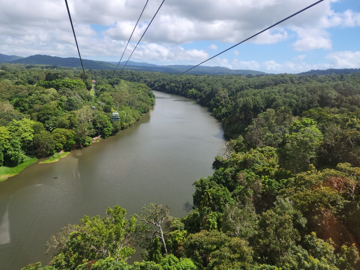skyrail rainforest cableway views