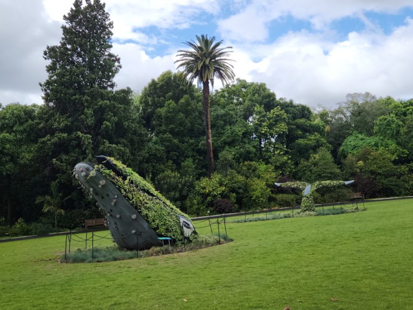 sydney botanic gardens flower whale