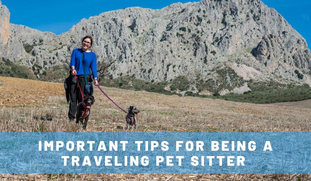 5 Important Tips for Being a Traveling Pet Sitter with TrustedHousesitters