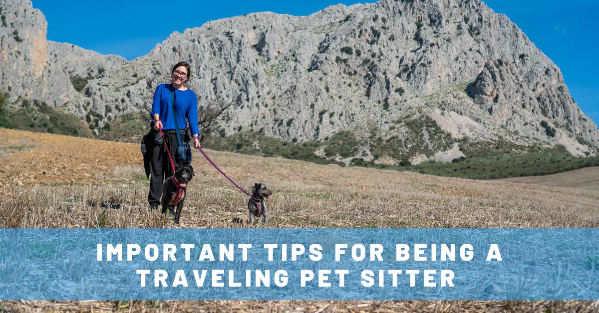 important traveling pet sitter tips
